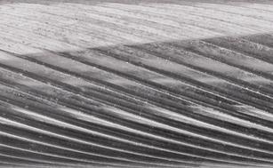 Bild von Kleinfrässtift HM Spitzbogenform 0307 5 3mm3x7mm Pferd
